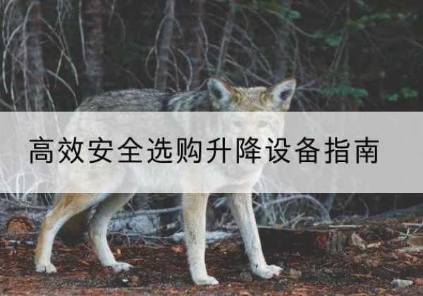 零陵升降货梯厂家推荐-*安全选购升降设备指南