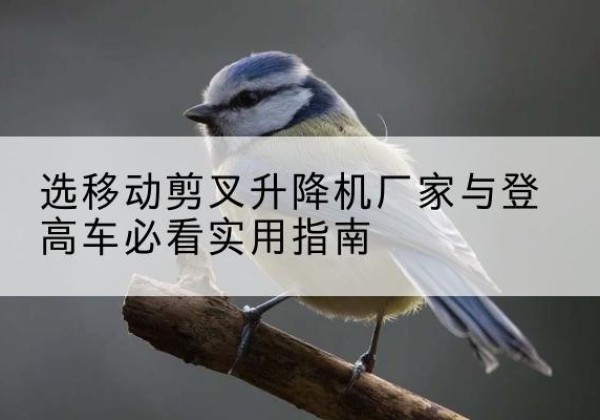 零陵电动升降机厂家-选移动剪叉升降机厂家与登高车必看实用指南