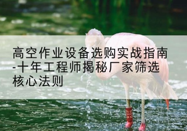 零陵剪叉式升降机厂家-高空作业设备选购实战指南-十年工程师揭秘厂家筛选核心法则